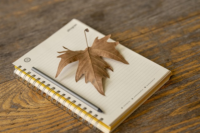 Die Bedeutung von Praktika während des Studiums an der Wirtschaftshochschule.